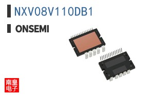 NXV08V110DB1